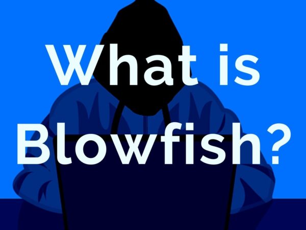 Blowfish Algorithm explained